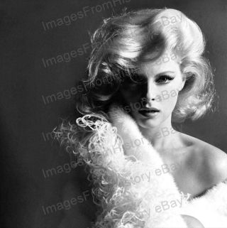 8x10 Print Virna Lisi Stunning Portrait Italian Actress 1965 Vl911