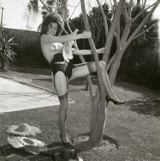 Ygnf - 1300 Vintage 2.  25 Negative Art Posed Nude Shannon Malone Shot By Ron Vogel