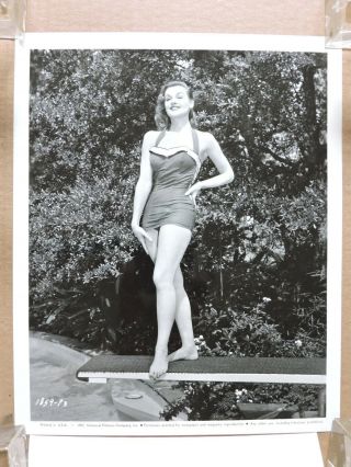 Ann Robinson On A Diving Board Leggy Barefoot Swimsuit Pinup Portrait Photo 1958
