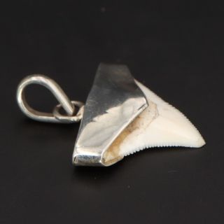 VTG Sterling Silver - Solid Bezel Pointed Ridged Shark ' s Tooth Pendant - 3.  5g 2