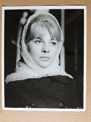 Julie Christie Portrait Photo 1962 Doctor Zhivago - David Lean