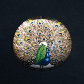 John Derian For Guggenheim Signed Glass Peacock Paperweight Weight Bird Handmade