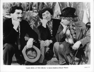 The Marx Brothers At The Circus Vintage 8x10 Photo Mgm Studio
