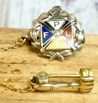 Vintage Knights Of Pythias Fple Enameled Pin With 10k Solid Gold Tops (e21)
