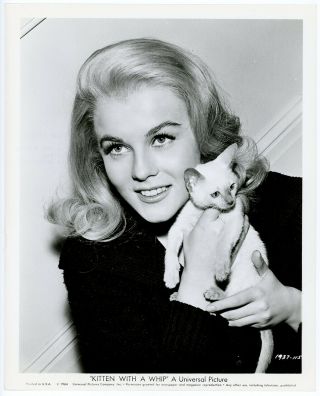 Swedish Sex Kitten Ann - Margret W/ Cat Orig.  1964 Kitten With A Whip Photograph