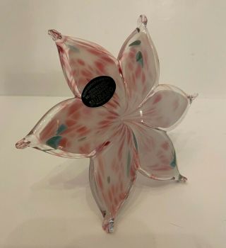 Murano Art Glass Hand Blown 6 Petal Stargazer Lily Flower White Pink Blue Italy