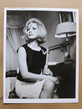 Virna Lisi Candid Portrait Photo 1960 