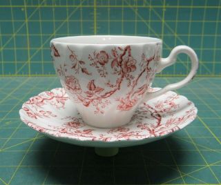 Vintage Red Floral Ironstone Porcelain Teacup And Saucer Bird Feeder Waterer