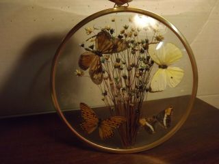 Vintage Dried Flowers & Butterflies In Round Beveled Glass Picture
