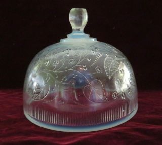 Antique Eapg Opalescent Glass,  Round Cheese Butter Dish Lid Only,  Forget Me Not