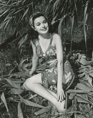 Pretty Brunette Starlet Lois Collier 1945 Tropical Pin - Up Photograph 2