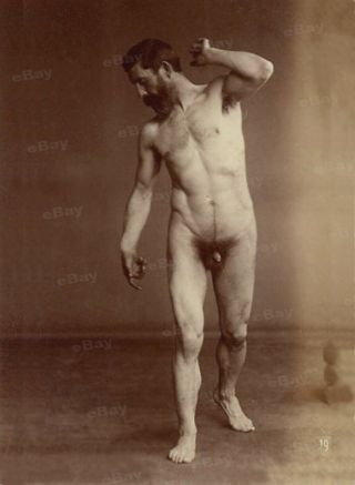 13x18cm Artprint Vintage Photo Male Nude 1880s Male Model Gay Interest 5685