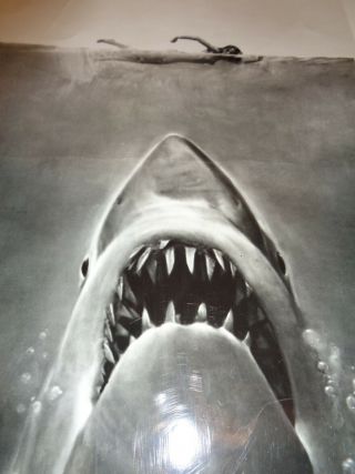 Vintage 1975 " Jaws " Black & White 8 " X 10 " Movie Lobby Photo