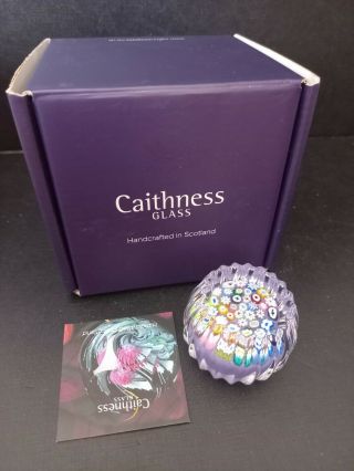 Caithness Scotland Glass Paperweight Millefiori Lilac Mini Boxed