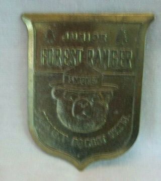 Vintage Smokey The Bear Junior Forest Ranger Metal Pin