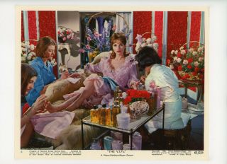 Vips Color Movie Still 8x10 Elsa Martinelli,  Drama 1963 16124