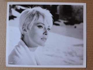 Virna Lisi With Short Hair Candid Portrait Photo 1960 