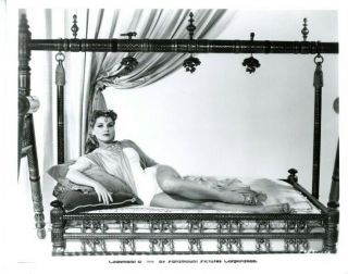 Debra Paget Photo Sexy Leggy Cheesecake Hollywood Actress 1950s Paramount