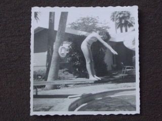 Girl In Stripped Bikini On End Of Diving Board Vintage 1950 