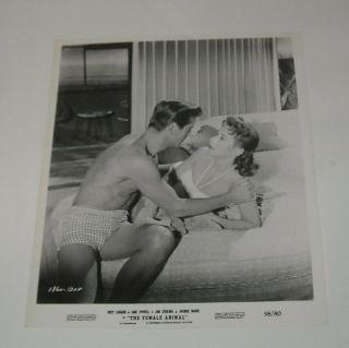 1958 The Female Animal Promo Movie Photo Hedy Lamarr Jane Powell Jan Sterling