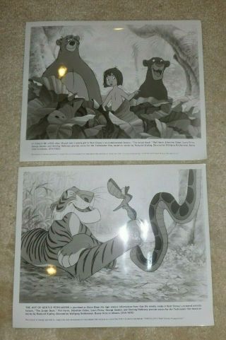 1967 Walt Disney Studio Library Jungle Book 2 Press Photos Mowgli & Baloo