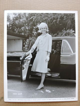 Doris Day Fashion Portrait Photo 1963 The Thrill Of It All