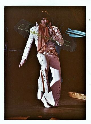 Elvis Presley Vintage Concert Photograph - Auburn,  Al - March 5,  1974
