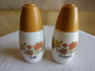 Vintage Mcm Retro Corelle Corning Indian Summer Ceramic Salt And Pepper Shakers