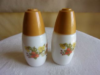 Vintage MCM retro Corelle Corning Indian summer ceramic salt and pepper shakers 2