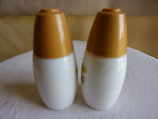 Vintage MCM retro Corelle Corning Indian summer ceramic salt and pepper shakers 3