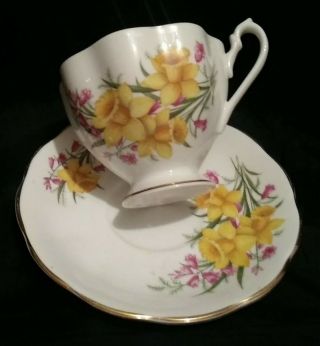Vtg Queen Anne Daffodil Teacup & Saucer Fine Bone China England I Have Another