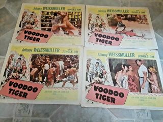 Lc Set 1952 Columbia Voodoo Tiger W/ Johnny Weissmuller As Jungle Jim