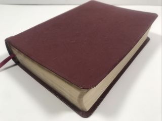 Vintage Niv Study Bible Red Letter Bonded Leather Zondervan 1985 Rare Paisley