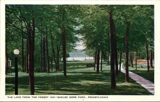 The Lake From The Forest Inn Eagle Mere Park Penn Vintage Postcard C5