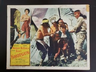 1955 Shotgun Lobby Card 11x14 " 55/154 Sterling Hayden/yvonne Decarlo