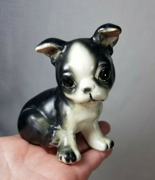 Vintage Boston Terrier Puppy Dog Figurine 3.  5 " Ceramic