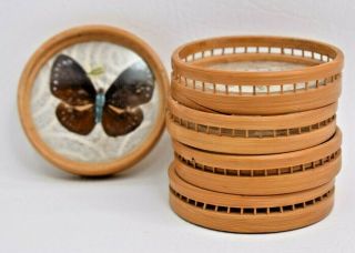 Vintage Butterfly Set Of 5 Bamboo Drink Coasters Coaster Set 1970s Retro Décor