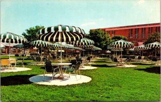 Vintage Atlantic City Race Course Color Photo Beer Garden Unposted Postcard