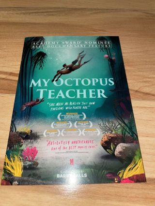 My Octopus Teacher 2020 Documentary Fyc Pressbook Illustrated Coloring Book