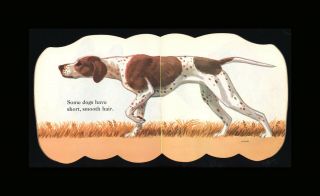 Vintage Children ' s Little Golden Shape Book The Dog Book 1964 Jan Pfloog 3