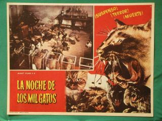 The Night Of A Thousand Cats Horror Hugo Stiglitz Spanish Mexican Lobby Card 4