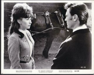 Nanette Newman Laurence Harvey In Of Human Bondage 1964 Movie Photo 32130