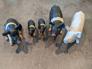 Rare Vintage Elc Boar / Pig Family,  Including White Boar