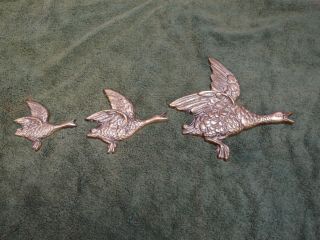 Vintage Set Of Three Graduated Wall - Hanging Brass Flying Ducks