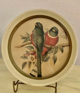 Vintage Round Two Birds Picture In Metal Frame 6”