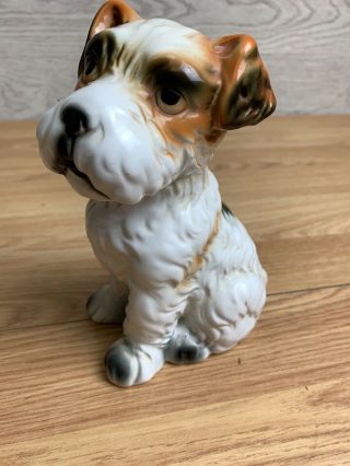 Vintage Ceramic White Brown And Black Terrier Dog Money Box