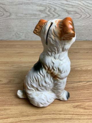 Vintage Ceramic White Brown And Black Terrier Dog Money Box 3