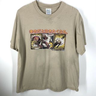 Vintage The Flaming Lips 2002 Tour Shirt Sz L Mens Unisex Vtg Tee T - Shirt