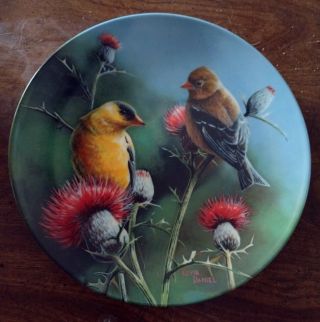 Vintage Edwin M.  Knowles " The Goldfinch " By Kevin Daniel Collector Plate 1986