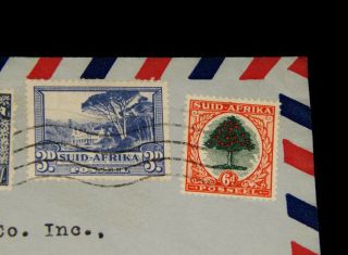Vintage Cover,  1951,  SOUTH AFRICA,  Airmail To Wilmington,  DE,  Orange Tree,  Afrikaakns 2
